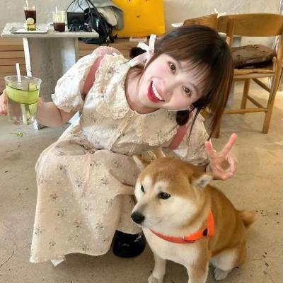 大笨蛋